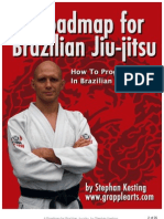 BJJ Roadmap 1.3