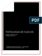 Patologia de Suelos PDF