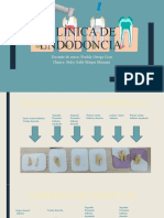 Clínica de Endodoncia