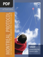 2007 UNDP Montreal Protocol_20 Years