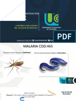 Malaria