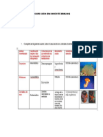 Excrecion de Los Invertebrados
