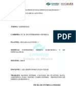Caracteristicas y Manejo Esteril - Flores - Garcia - Azucena - 405