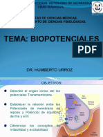 Bio Potencial Es