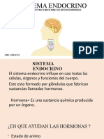 Sistema Endocrino