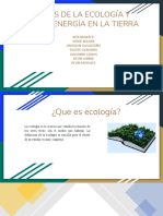 Grupo 5, Principios de La Ecologia y Flujo de Energia en La Tierra