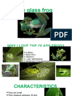 The Glass Frog: Genre Hyalinobatrachium
