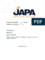 Analizar El Recurso de Apelación en Materia Laboral en La República Dominicana.