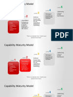 6431 03 Capability Maturity Model