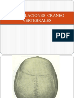 6.) Articulaciones del Cráneo, ATM, Atlanto-Occipital y Atlanto-Axoidea - Prof. Pedro Bolívar