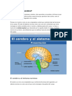 4 Qué Hace El Cerebro