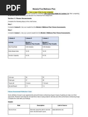 Module Five Wellness Plan HOPE