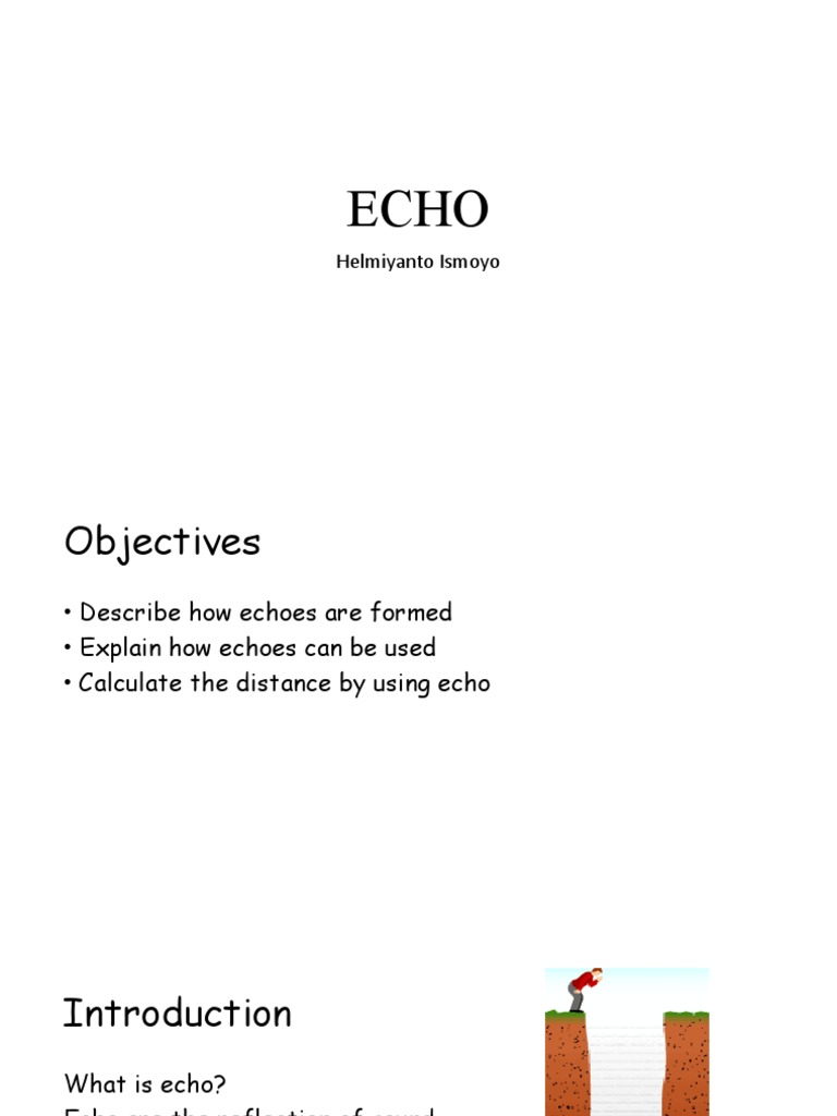Echo | PDF | Ultrasound | Acoustics