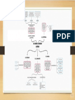 Organizador gráfico - Del lenguaje a la variedad Linguística