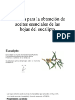 Técnica para La Obtención de Aceites Esenciales