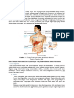 Sistem Pencernaan
