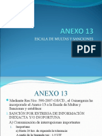 Anexo 13