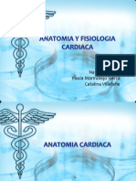 Anatomiayfisiologiacardiaca 130626105821 Phpapp01