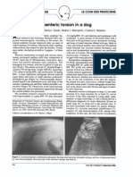 Mesenteric Torsion