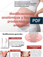 MODIFICACIONES FISIOLOGICAS EN EL EMBARAZO Listo