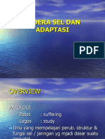 CEDERA SEL DAN ADAPTASI (Kuliah)