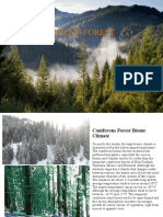 Coniferous Forest Biome Guide