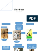 New Birth - Doctrinal