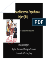 Mechanisms of Ischemia - Reperfusion Injury (IRI)
