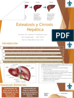 Esteatosis y Cirrosis Hepática