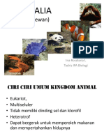 Materi Kingdom Animalia