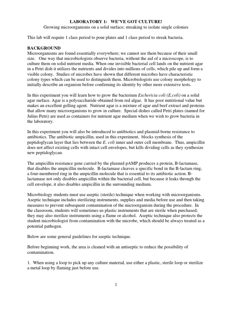 Micro Lab Protocols PDF Staining Bacteria