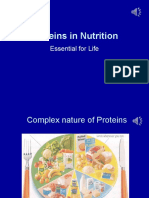 Proteins in Nutrition: Essential For Life