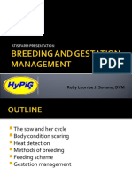 Breeding and Gestation Management