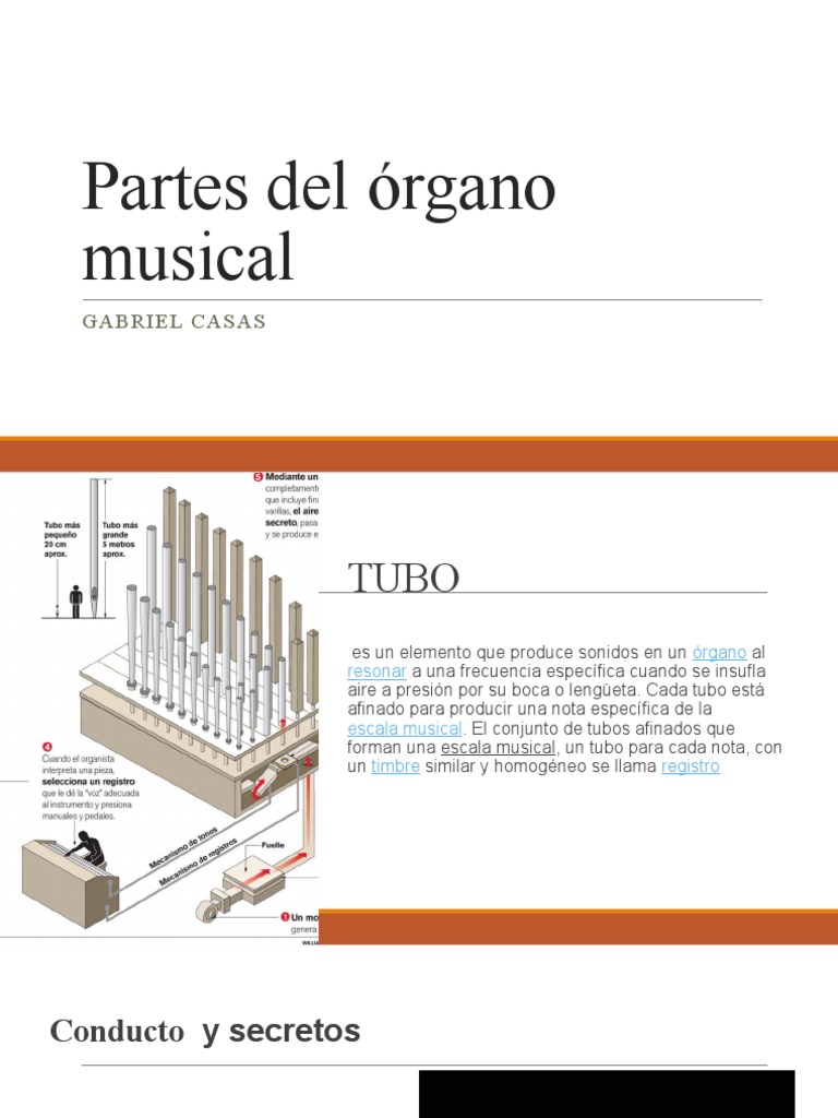 Partes del órgano musical explicado | PDF