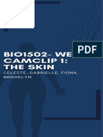 Bio1502 - Week 6 Camclip 1 The Skin