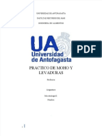 pdf-informe-moho-y-levadura