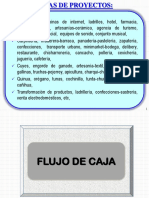 PDF Proyectos