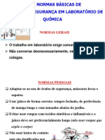 Normas de Segurança - q. Analitica