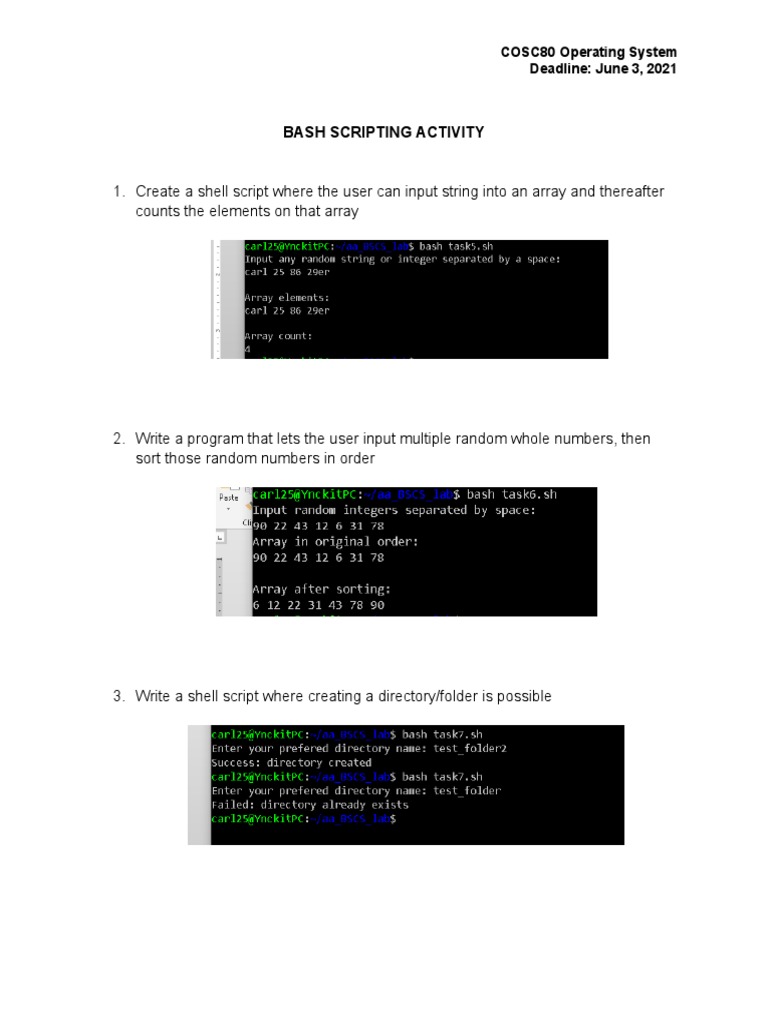 Bash Scripting Tasks Guide | PDF | Art | Computers