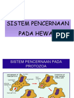 SISTEM PENCERNAAN PD HEWAN