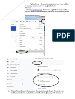 Fisa de Lucru Internet Documentare Cu Indicatii