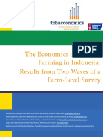 Indonesia Economics of Tobacco Farming