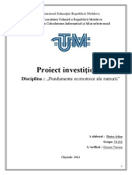 Proiect investitional