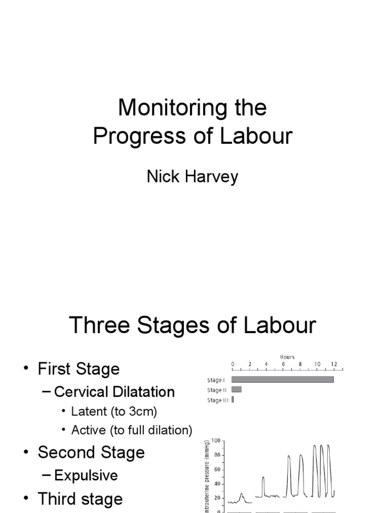Labour Progress Monitoring Guide | PDF