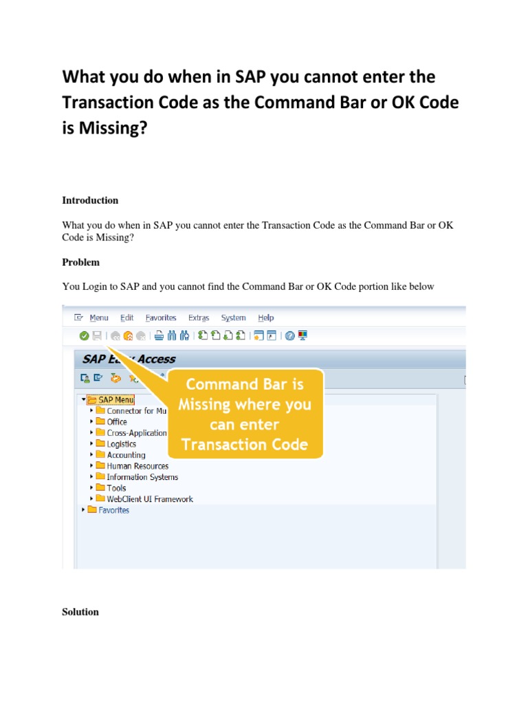 What You Do When in SAP You Cannot Enter The Transaction Code As The