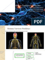 Sistemana Nervioso Periferico y Autonomo
