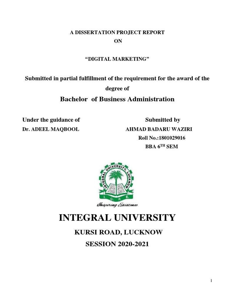 Digital Marketing Dissertation Report | PDF | Online Advertising ...