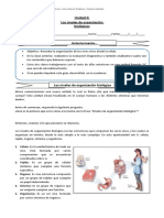 Guia Niveles de Organizacion 1