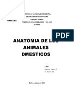 Trabajo 4 Anatomia de Las Cabras