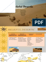 Relieful Desertic